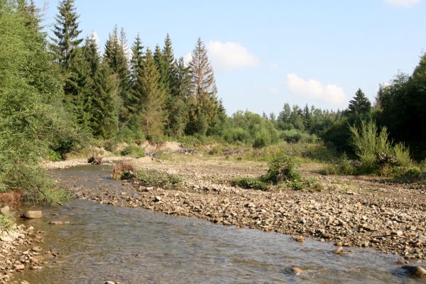 Rabčice, 29.7.2018
Meandry Bystré.
Keywords: Orava Rabčice řeka Bystrá