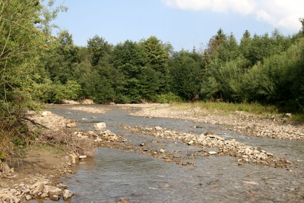 Rabčice, 29.7.2018
Meandry Bystré.
Schlüsselwörter: Orava Rabčice řeka Bystrá