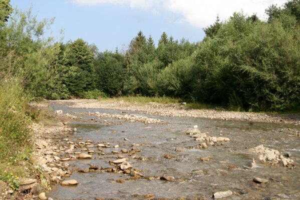 Rabčice, 29.7.2018
Meandry Bystré.
Klíčová slova: Orava Rabčice řeka Bystrá