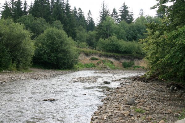 Rabčice, 29.7.2018
Meandry Bystré.
Mots-clés: Orava Rabčice řeka Bystrá