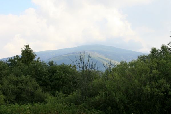 Rabčice, 29.7.2018
Lužní les u Bystré. Pohled na Babiu horu.
Schlüsselwörter: Orava Rabčice řeka Bystrá Babia hora