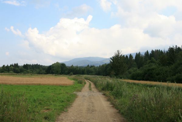 Rabčice, 29.7.2018
V dolině Bystré.
Klíčová slova: Orava Rabčice řeka Bystrá