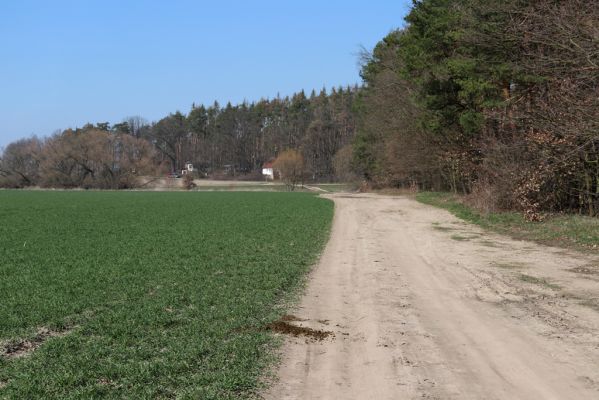 Ráby, 23.3.2019
Polní cesta u lesa Kladivo.
Schlüsselwörter: Ráby les Kladivo polní cesta