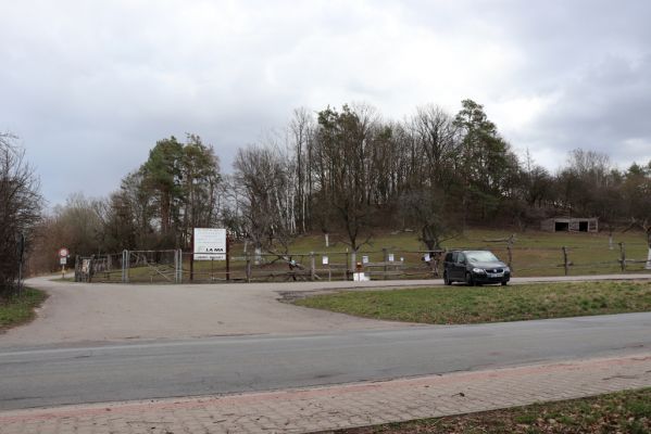 Ráby, 26.2.2019
Pastvina na západním svahu Kunětické hory.
Klíčová slova: Ráby Kunětická hora pastvina
