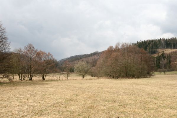 Račice-Pístovice, 21.3.2016
Rakovecké údolí u soutoku Malého Rakovce s Rakovcem - pohled na Rakovecké stráně.
Klíčová slova: Račice-Pístovice Rakovecké údolí Rakovecké stráně