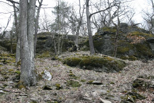 Ruprechtov, 21.3.2016
Ruprechtov, Rakovecké stráně - východní část.



Mots-clés: Ruprechtov Rakovecké stráně Cardiophorus erichsoni