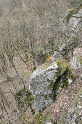 Ruprechtov, 21.3.2016
Ruprechtov, Rakovecké stráně - centrální část.


Schlüsselwörter: Ruprechtov Rakovecké stráně