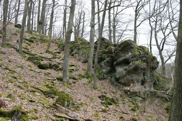 Ruprechtov, 21.3.2016
Ruprechtov, Rakovecké stráně - centrální část.


Mots-clés: Ruprechtov Rakovecké stráně