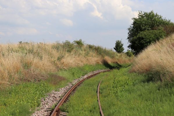 Račice nad Trotinou, 28.7.2021
Za Dráhou, železniční trať na Hořiněves.
Keywords: Račice nad Trotinou Za Dráhou