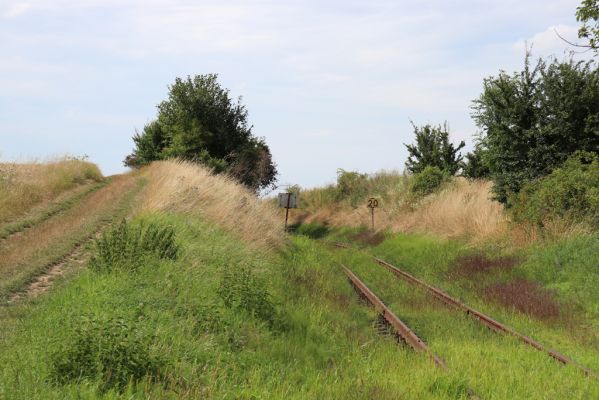 Račice nad Trotinou, 28.7.2021
Za Dráhou, železniční trať na Hořiněves.
Klíčová slova: Račice nad Trotinou Za Dráhou