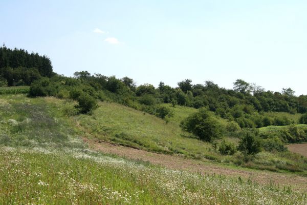 Račice nad Trotinou, 8.2.2009
Step na západně orientovaném svahu.
Schlüsselwörter: Rašice nad Trotinou Rodov