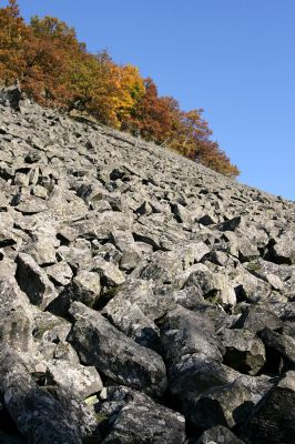 Mimoň, vrch Ralsko, 11.10.2010
Rozsáhlé sutové pole na jižním svahu Ralska. 
Keywords: Mimoň Ralsko