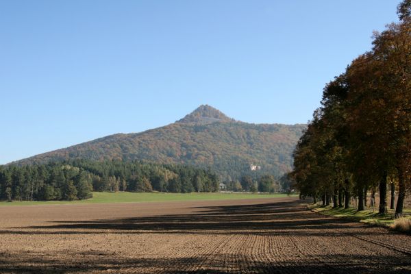 Mimoň, vrch Ralsko, 11.10.2010
Vrch Ralsko od Mimoně od Vranovské aleje.
Keywords: Mimoň Vranov Ralsko