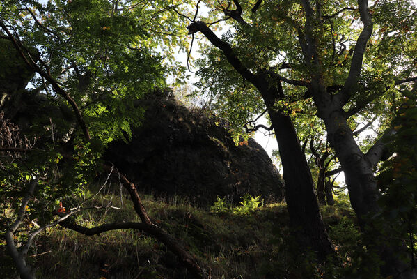 Ralsko, 7.10.2022
Velký Jelení vrch.
Klíčová slova: Ralsko Jelení vrchy Velký Jelení vrch