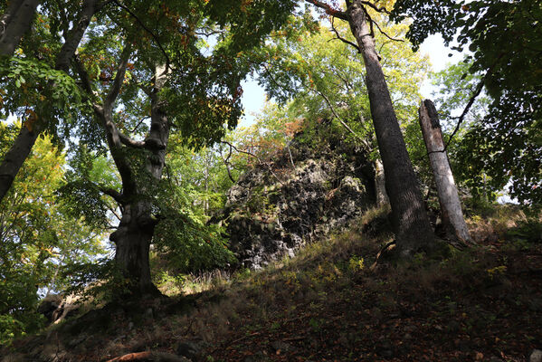 Ralsko, 7.10.2022
Velký Jelení vrch.
Keywords: Ralsko Jelení vrchy Velký Jelení vrch Hypoganus inunctus