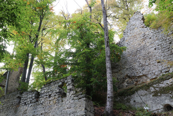 Hamr na Jezeře, 7.10.2022
Děvín.
Schlüsselwörter: Hamr na Jezeře Děvín