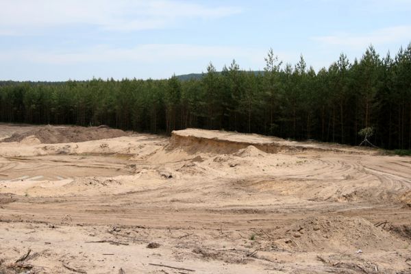 Rašovice, 21.5.2009
Hnízdiště břehulí v rašovické pískovně.
Klíčová slova: Rašovice pískovna břehule