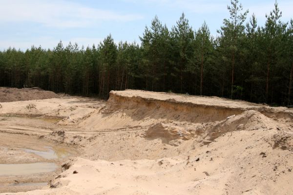 Rašovice, 21.5.2009
Hnízdiště břehulí v rašovické pískovně.
Klíčová slova: Rašovice pískovna břehule