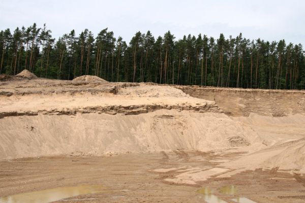 Rašovice, 21.5.2009
Hnízdiště břehulí v rašovické pískovně.
Mots-clés: Rašovice pískovna břehule