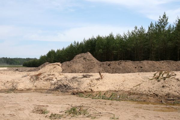 Rašovice, 21.5.2009
Západní okraj rašovické pískovny.
Klíčová slova: Rašovice pískovna