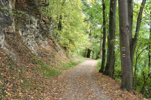 Česká Skalice, Babiččino údolí, 10.10.2015
Cesta v jižní části Babiččina údolí.



Klíčová slova: Česká Skalice Babiččino údolí Bažantnice