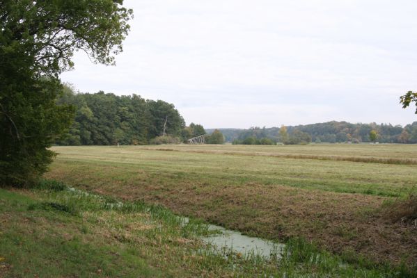 Česká Skalice, Babiččino údolí, 10.10.2015
Záplavové louky v jižní části Babiččina údolí.



Klíčová slova: Česká Skalice Babiččino údolí Bažantnice Oedostethus quadripustulatus