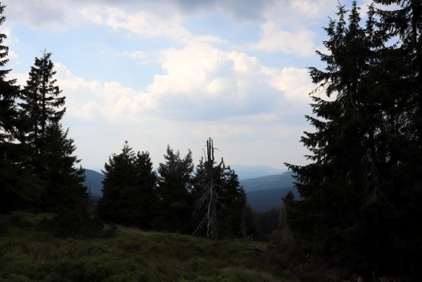 Rokytnice nad Jizerou, 8.8.2020
Krkonoše, Kotel, prameniště nad Velkou Mumlavou.
Klíčová slova: Rokytnice nad Jizerou Krkonoše prameniště Velké Mumlavy Kotel