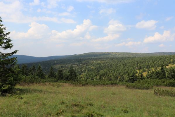Rokytnice nad Jizerou, 8.8.2020
Krkonoše - prameniště nad Velkou Mumlavou, v pozadí Labská louka.
Klíčová slova: Rokytnice nad Jizerou Krkonoše prameniště Velké Mumlavy Labská louka