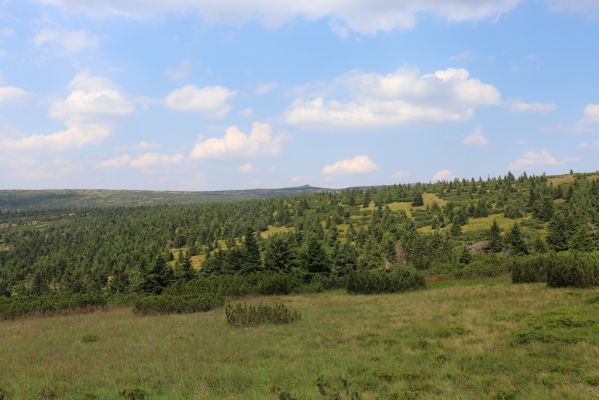 Rokytnice nad Jizerou, 8.8.2020
Krkonoše - prameniště nad Velkou Mumlavou, v pozadí Violík.
Schlüsselwörter: Rokytnice nad Jizerou Krkonoše prameniště Velké Mumlavy Violík