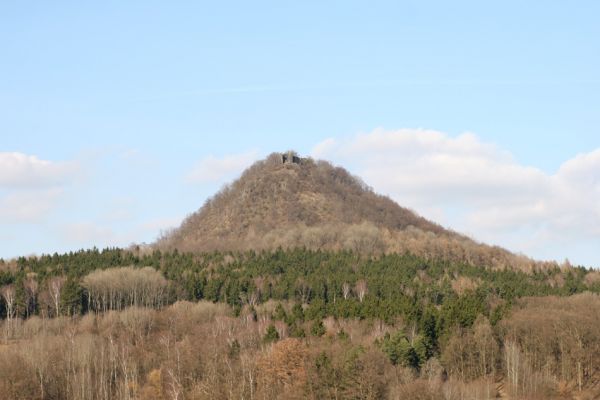 Blíževedly, vrch Ronov, 24.3.2011
Ronov od obce Blíževedly.
Schlüsselwörter: Blíževedly Ronov Idolus picipennis