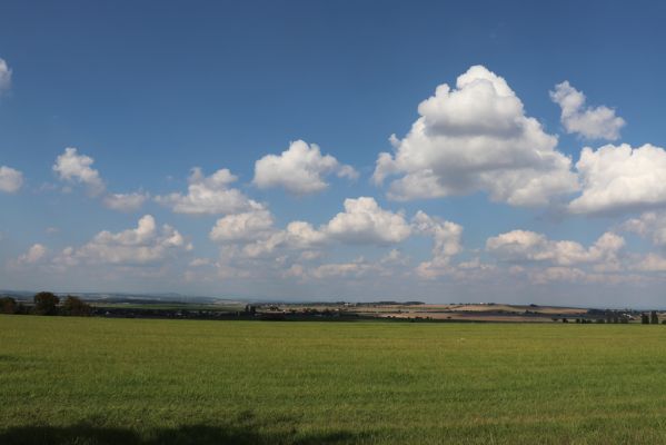 Všestary, 14.9.2021
Rosnice - pohled na Chlum. 
Mots-clés: Všestary Rosnice Chlum