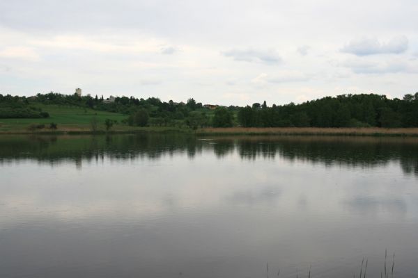 Roudnička, 17.5.2008
Rybník Roudnička. Vlevo Nový Hradec Králové-Kluky. Na svahu pod vodárnou je vidět nová ovčí pastvina.
Schlüsselwörter: Hradec Králové Roudnička Nový Hradec Králové Kluky pastvina