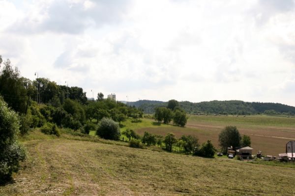 Malé Svatoňovice, 14.8.2009
Třešňovka u železniční stanice. Výskyt Anthaxia candens nezjištěn.
Mots-clés: Malé Svatoňovice