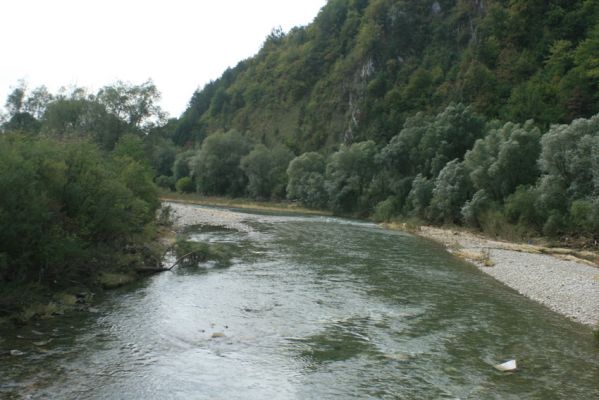 Rudinka, řeka Kysuca, 18.9.2007
Široké štěrkové náplavy na březích Kysuce. 
Klíčová slova: Rudinka Kysuca Zorochros dermestoides Fleutiauxellus maritimus