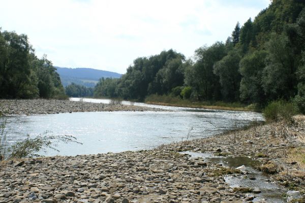 Rudinka, řeka Kysuca, 18.9.2007
Široké štěrkové náplavy na březích Kysuce. 
Keywords: Rudinka Kysuca Zorochros dermestoides Fleutiauxellus maritimus