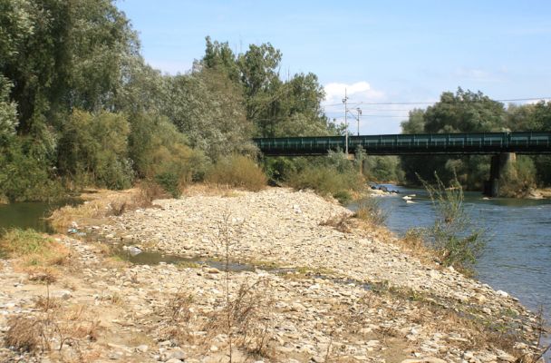 Rudinka, řeka Kysuca, 18.9.2007
Široké štěrkové náplavy na březích Kysuce. Naleziště kovaříků Zorochros dermestoides a Z. meridionalis.
Keywords: Rudinka Kysuca Zorochros dermestoides meridionalis Fleutiauxellus maritimus