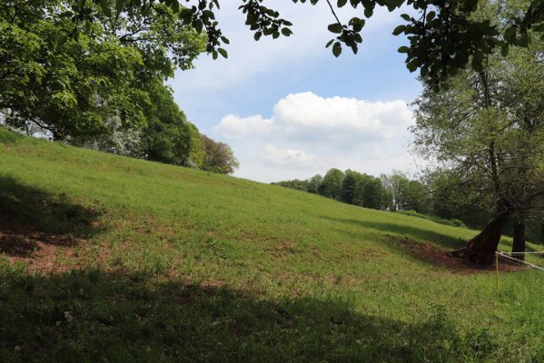 Rudník, 27.5.2019
Pastvina pod Justicí.
Klíčová slova: Rudník pastvina pod Justicí