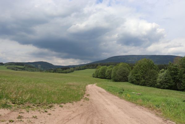 Rudník, 27.5.2019
Pastviny u Čisté.
Klíčová slova: Rudník pastvina u Čisté