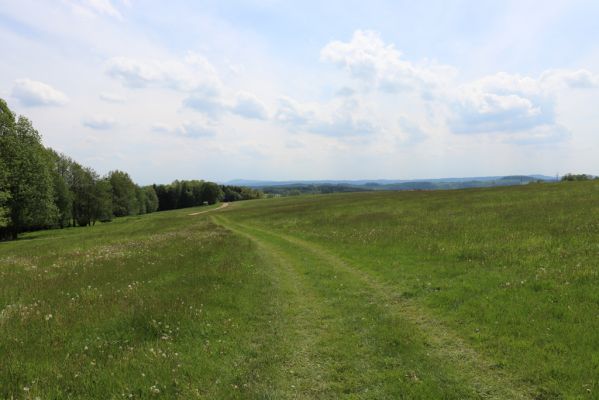 Rudník, 27.5.2019
Pastviny u Čisté.
Klíčová slova: Rudník pastvina u Čisté