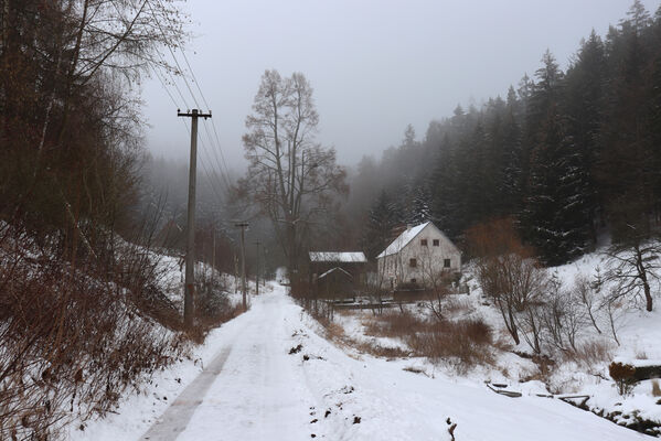 Ruprechtice, 25.1.2023
Horní Ruprechtice pod Javořími horami.
Klíčová slova: Meziměstí Ruprechtice Javoří hory Ruprechtický potok