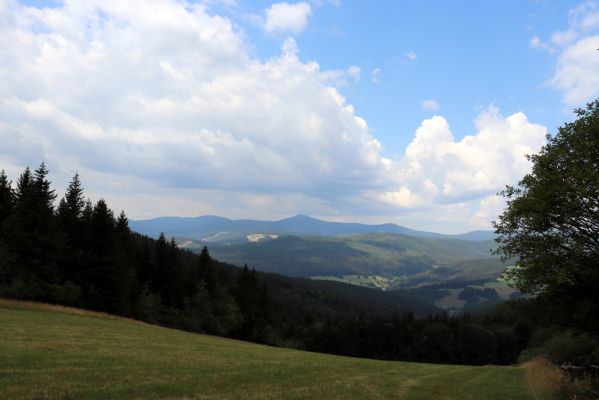 Žacléř, 13.8.2020
Rýchory, sedlo Rýchorský kříž. Pohled na Krkonoše.
Schlüsselwörter: Žacléř Rýchory Rýchorský kříž Krkonoše