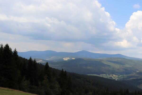 Žacléř, 13.8.2020
Rýchory, sedlo Rýchorský kříž. Pohled na Krkonoše.
Klíčová slova: Žacléř Rýchory Rýchorský kříž Krkonoše