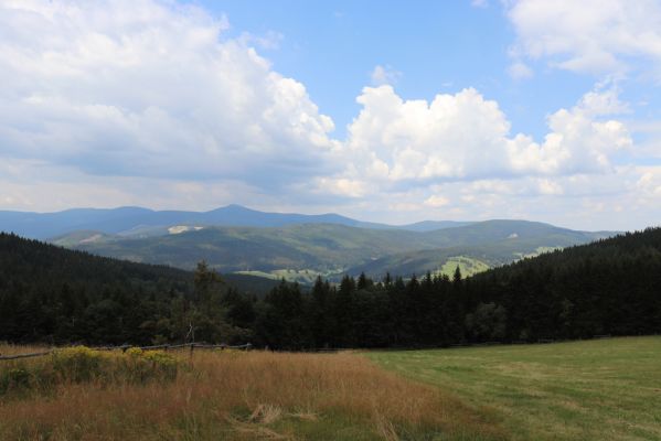 Žacléř, 13.8.2020
Rýchory, sedlo Rýchorský kříž. Pohled na Krkonoše.
Klíčová slova: Žacléř Rýchory Rýchorský kříž Krkonoše