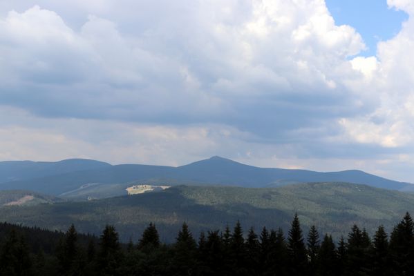 Žacléř, 13.8.2020
Rýchory, vrch Mravenečník. Pohled na Krkonoše.
Klíčová slova: Žacléř Rýchory Mravenečník Krkonoše
