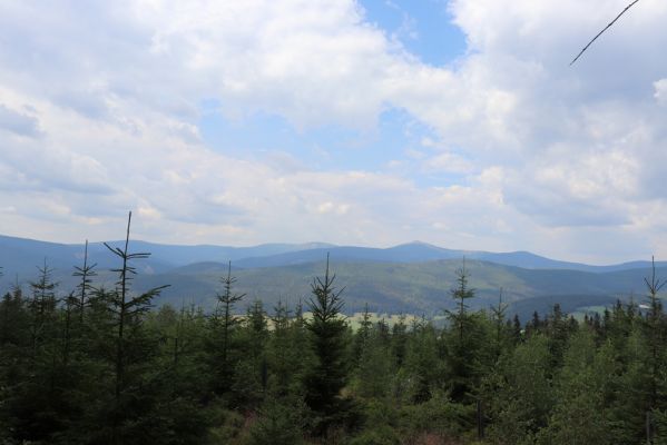 Žacléř, 13.8.2020
Rýchory, vrch Mravenečník. Pohled na Krkonoše.
Klíčová slova: Žacléř Rýchory Mravenečník Krkonoše