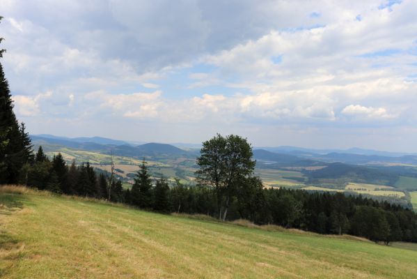 Žacléř, 13.8.2020
Rýchory, Vizov. Pohled do Polska z luk pod Mravenečníkem.
Klíčová slova: Žacléř Rýchory Vizov Mravenečník