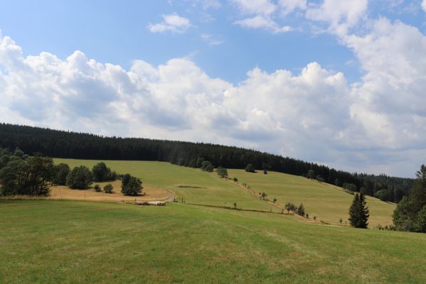 Žacléř, 13.8.2020
Rýchory, Vizov. V pozadí Mravenečník.
Klíčová slova: Žacléř Rýchory Vizov Mravenečník