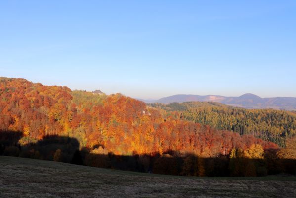 Žacléř, 29.10.2021
Bučina na jižním výběžku Žacléřského hřbetu a Vraní hory od Vernířovic.
Klíčová slova: Žacléř zámek les Vraní hory Vernířovice