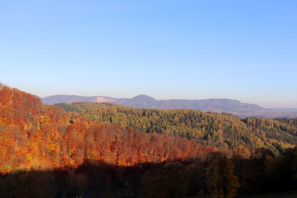 Žacléř, 29.10.2021
Bučina na jižním výběžku Žacléřského hřbetu a Vraní hory od Vernířovic.
Klíčová slova: Žacléř zámek les Vraní hory Vernířovice