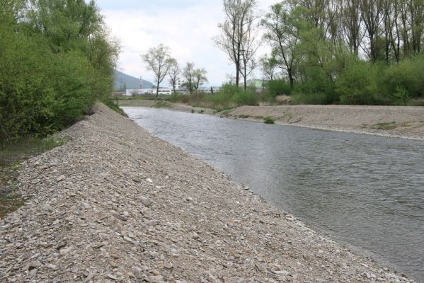 Šarišské Michaľany, 21.4.2014
Zregulovaný tok Torysy u Ostrovan.



Klíčová slova: Šarišské Michaľany řeka Torysa